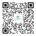 智优国际教育咨询号